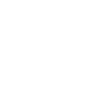 SV Angel